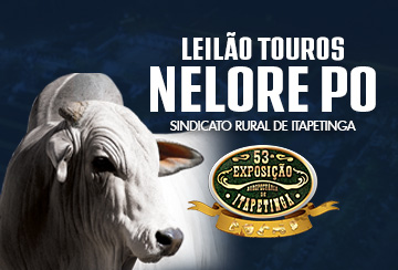 LEILÃO TOUROS NELORE PO - SINDICATO RURAL DE ITAPETINGA